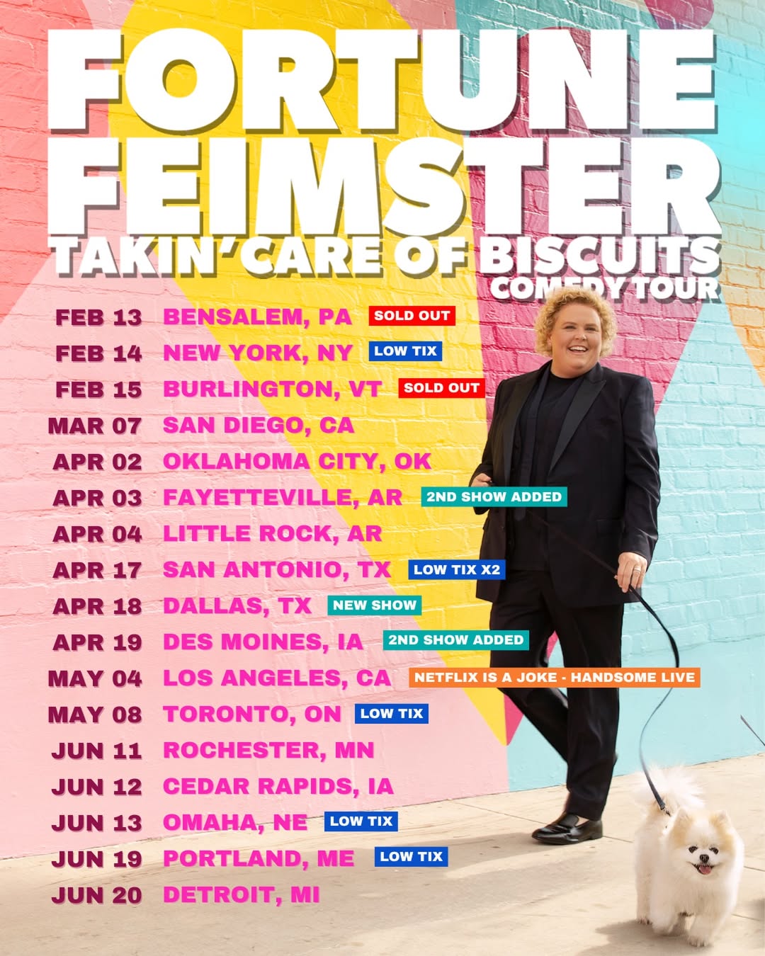 Fortune Feimster Takin Care of Biscuits Comedy Tour Poster 2026